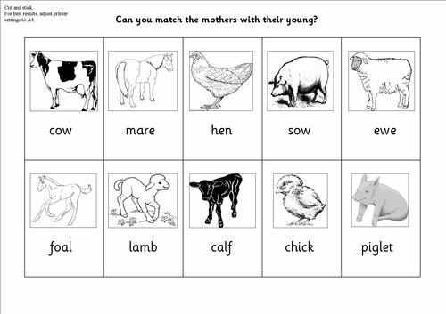 names Worksheets for Animals animal  their and Mothers kindergarten Farm stick   and cut young worksheet