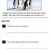 penguins comprehension3