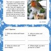 KS1 Christmas Reading Comprehension Cards3