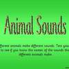animal sounds PPTSlide1