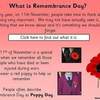 Remembrance Day2