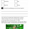 ks1 new curriculum sats style foxes comprehension11