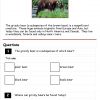 grizzly bears comprehension3