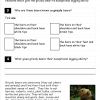 grizzly bears comprehension4