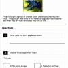 Frogs Comprehension3