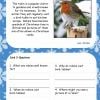 KS1 Christmas Reading Comprehension Cards3