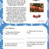 KS1 Christmas Reading Comprehension Cards4
