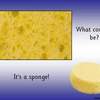 Sight Magnification PPT8