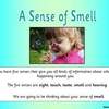 smell PPT1