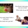 smell PPT3