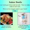 smell PPT12