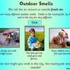 smell PPT13