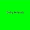 1Baby Animals Smartboard_1
