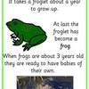 tadpole to frog posters6