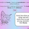 Butterfly ppt3