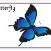 butterfly life cycle posters4b