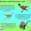 Dinosaurs Slide14
