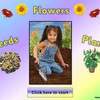 Seeds to Flower PPT1