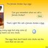 Chickens and Eggs PPT4