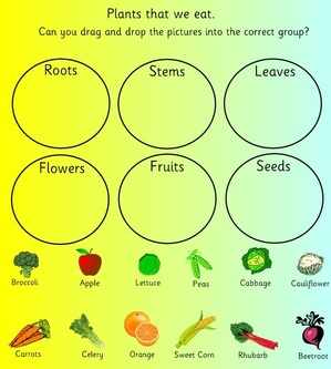 Plants, Flowers and Seeds topic, EYFS ,KS1 teaching resources, topic resources, free resources, SEN, powerpoints, smartboard resources, interactive, early years, key stage 1, year 1, worksheets, labels, games